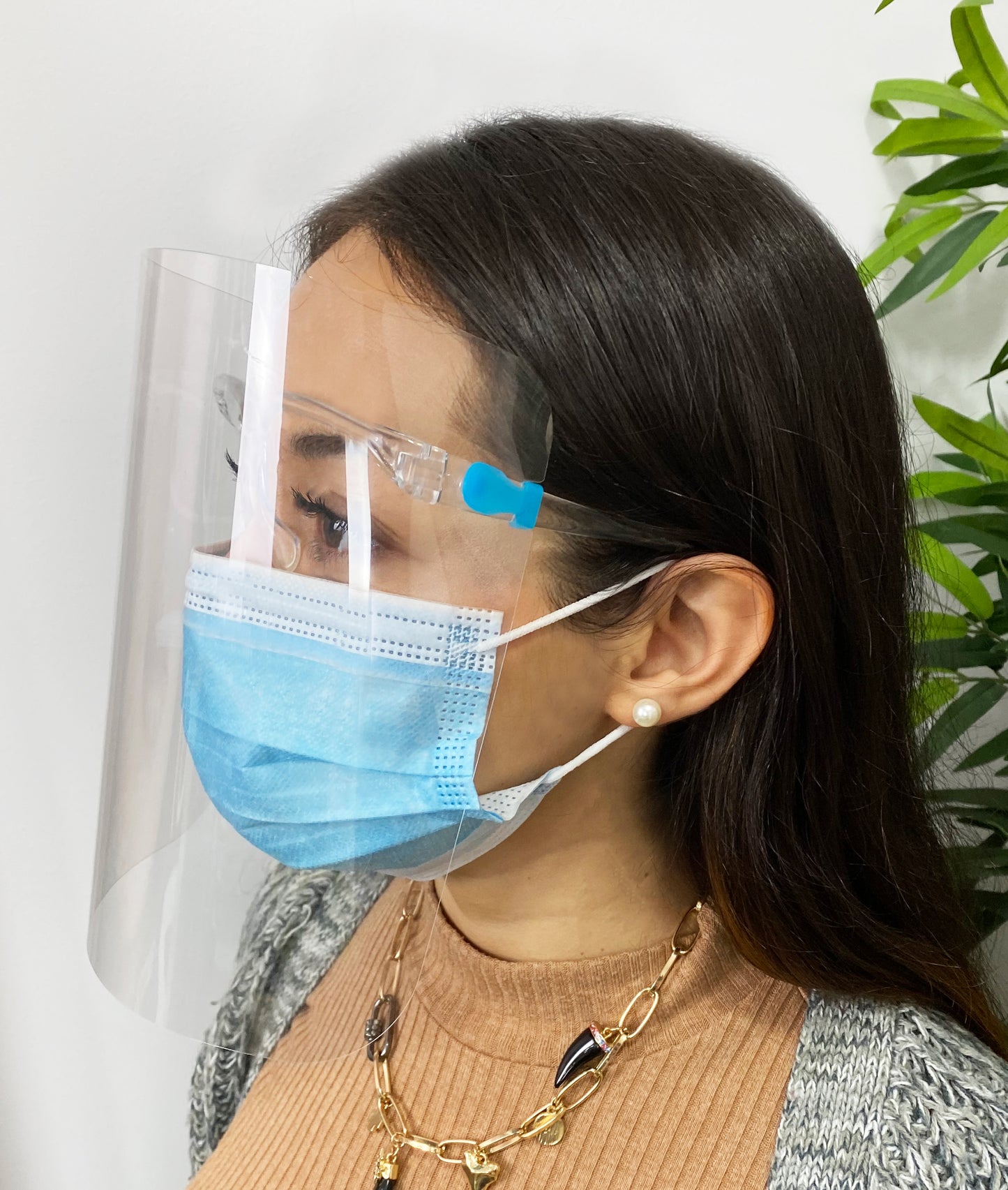 Pantalla facial protección transparente