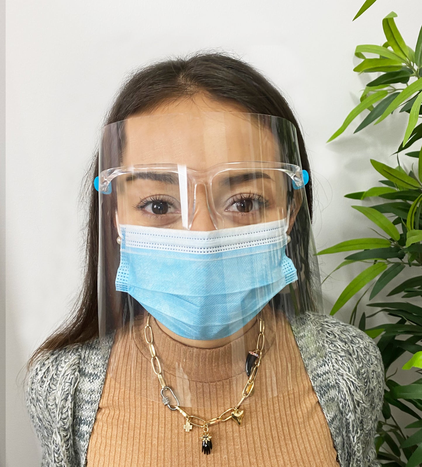 Pantalla facial protección transparente